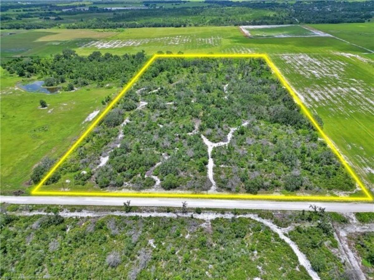 Picture of Residential Land For Sale in Ona, Florida, United States