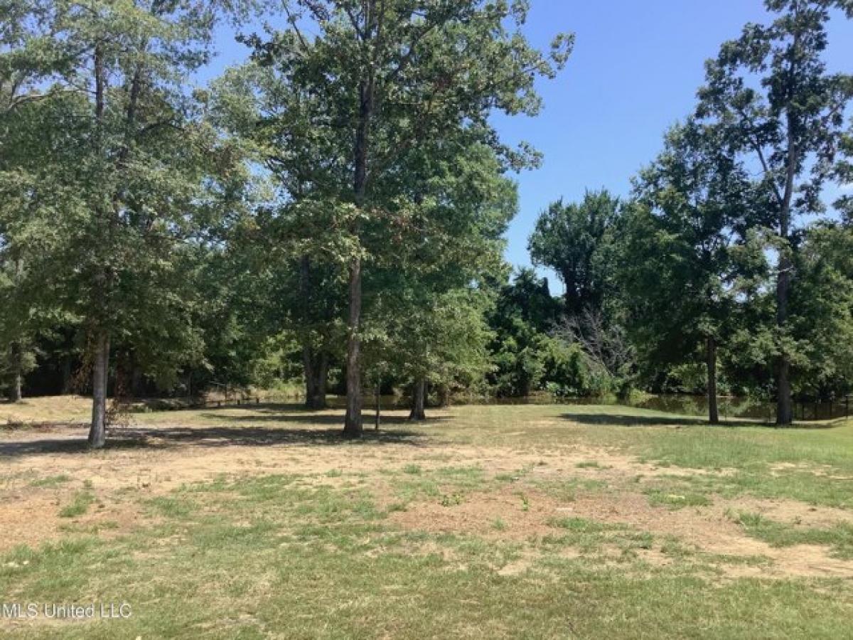 Picture of Residential Land For Sale in Brandon, Mississippi, United States