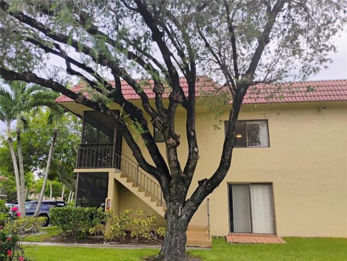 Picture of Apartment For Rent in Weston, Florida, United States