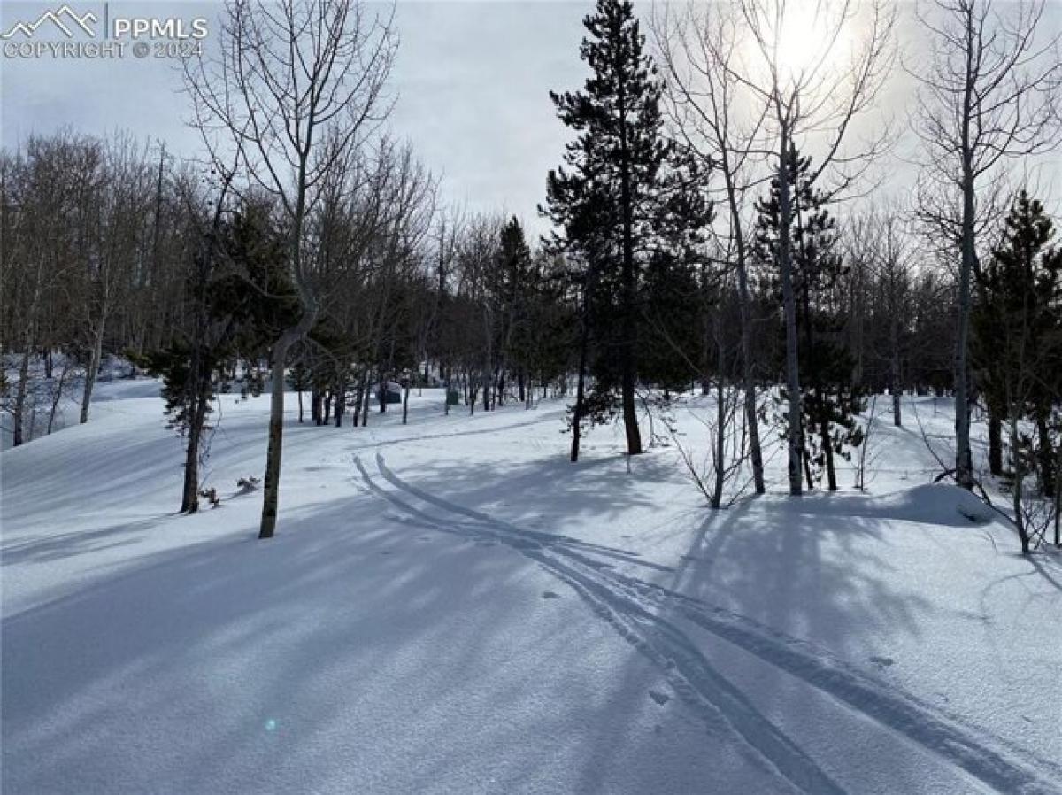 Picture of Residential Land For Sale in Granby, Colorado, United States