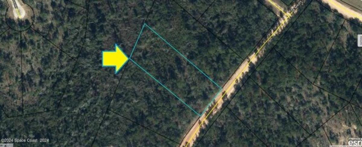 Picture of Residential Land For Rent in Alford, Florida, United States