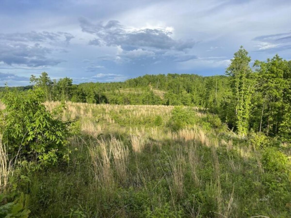 Picture of Residential Land For Sale in Long Bottom, Ohio, United States