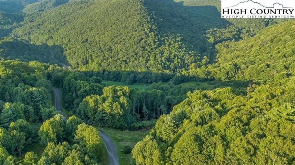 Picture of Residential Land For Sale in Todd, North Carolina, United States