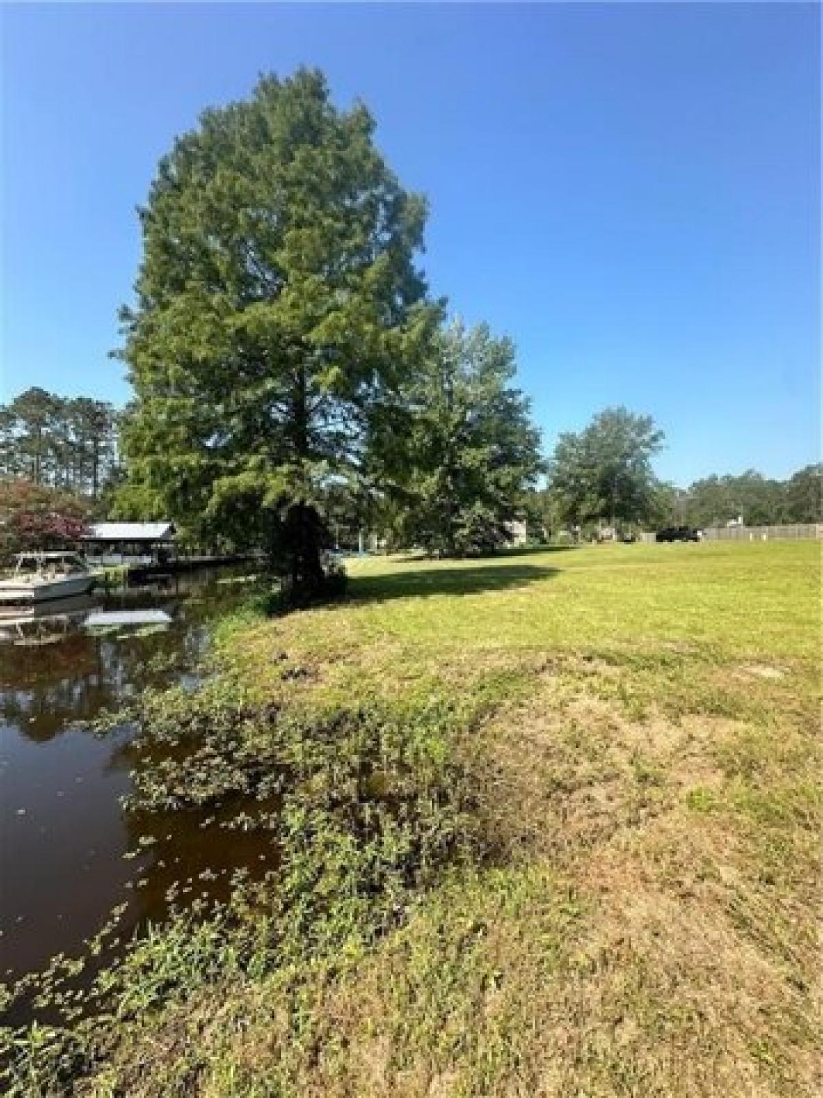 Picture of Residential Land For Sale in Springfield, Louisiana, United States