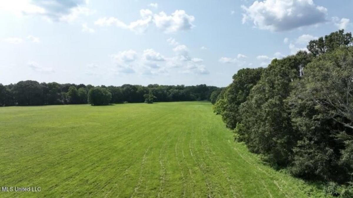 Picture of Residential Land For Sale in Flora, Mississippi, United States