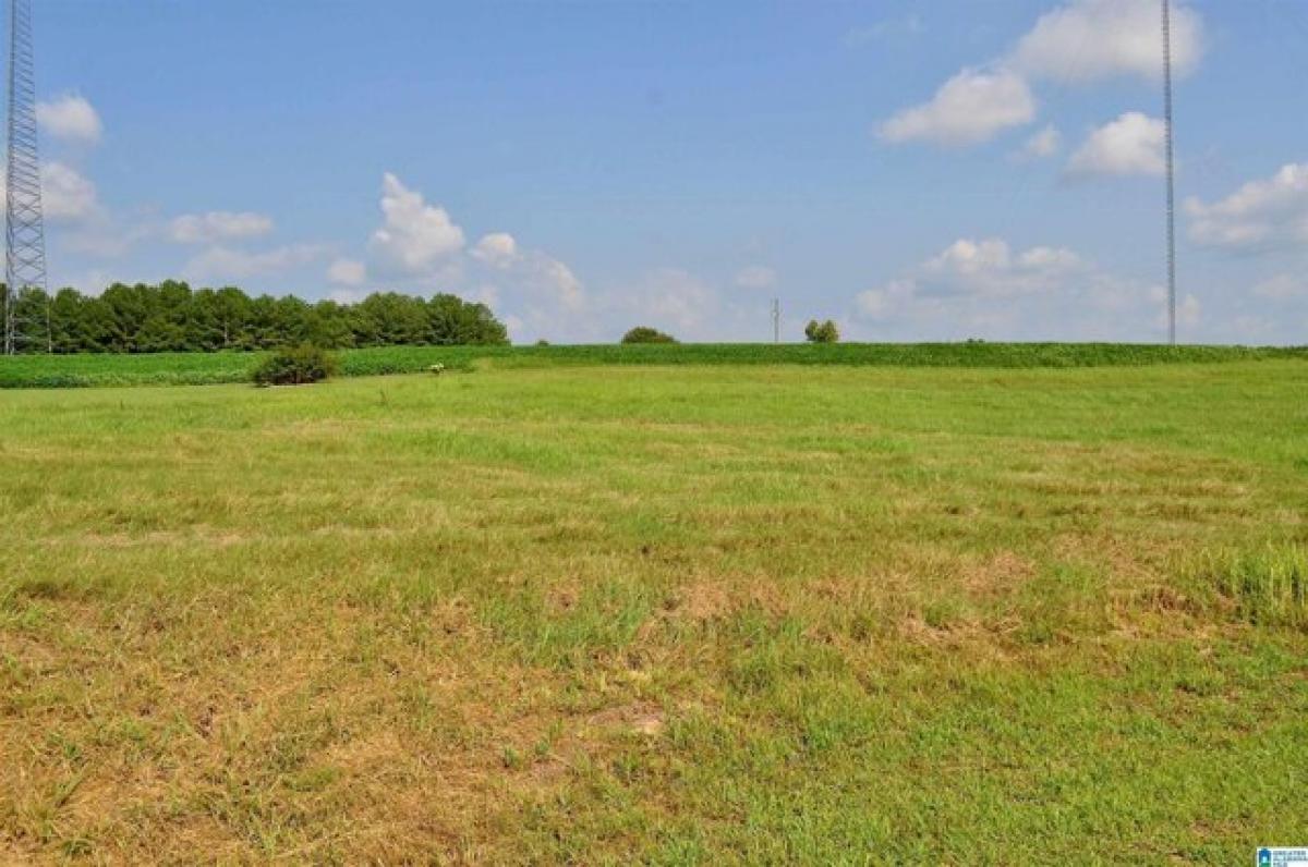 Picture of Residential Land For Sale in Cullman, Alabama, United States