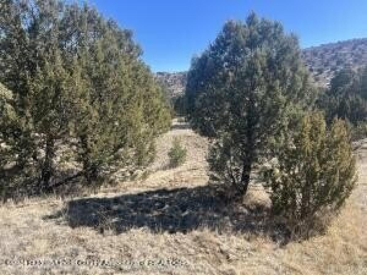 Picture of Residential Land For Sale in Alto, New Mexico, United States