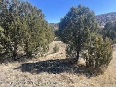 Residential Land For Sale in Alto, New Mexico