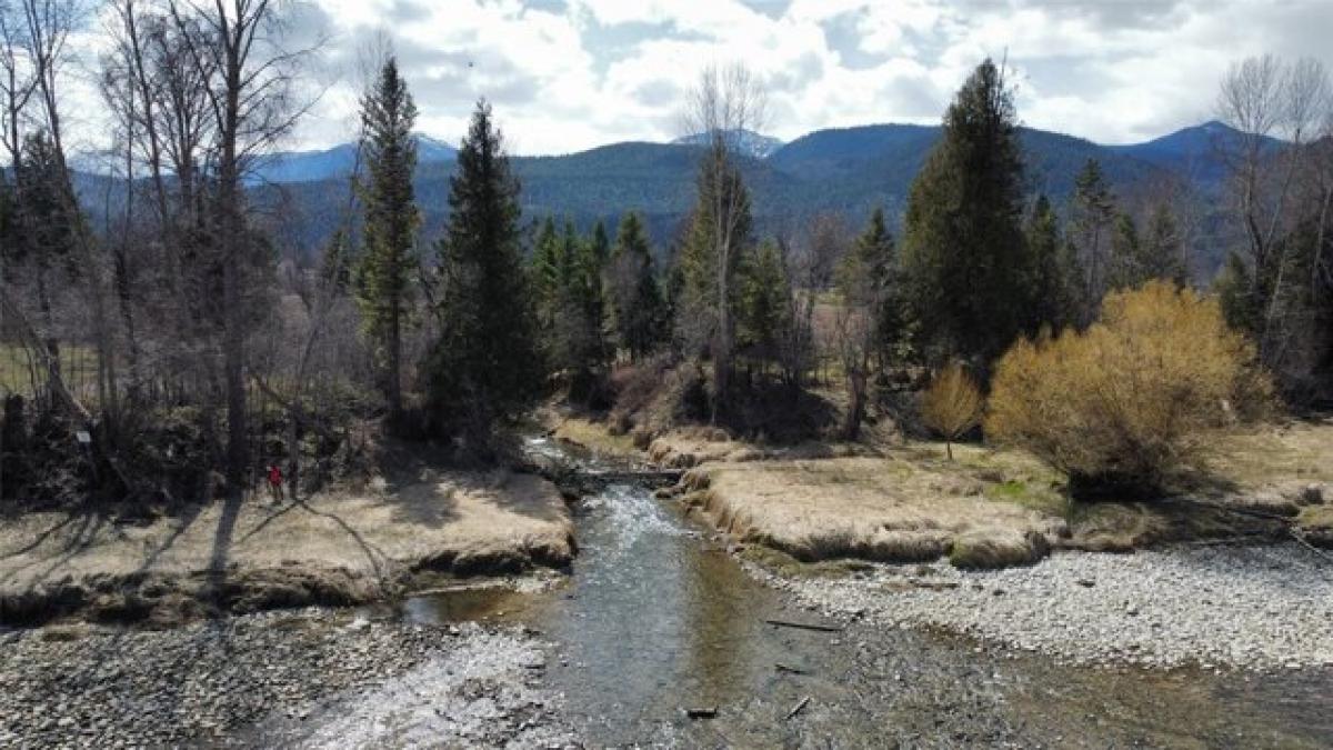 Picture of Residential Land For Sale in Libby, Montana, United States