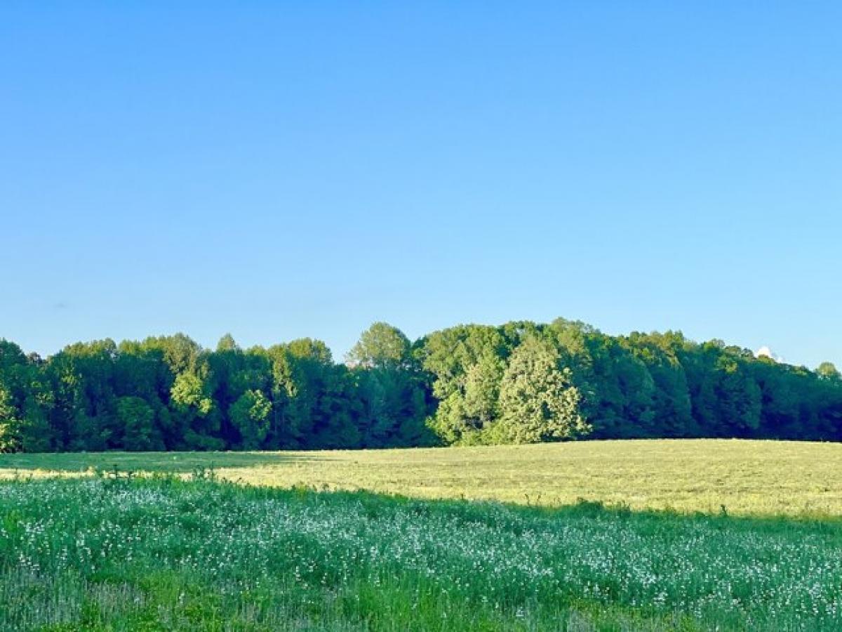 Picture of Residential Land For Sale in Five Points, Tennessee, United States