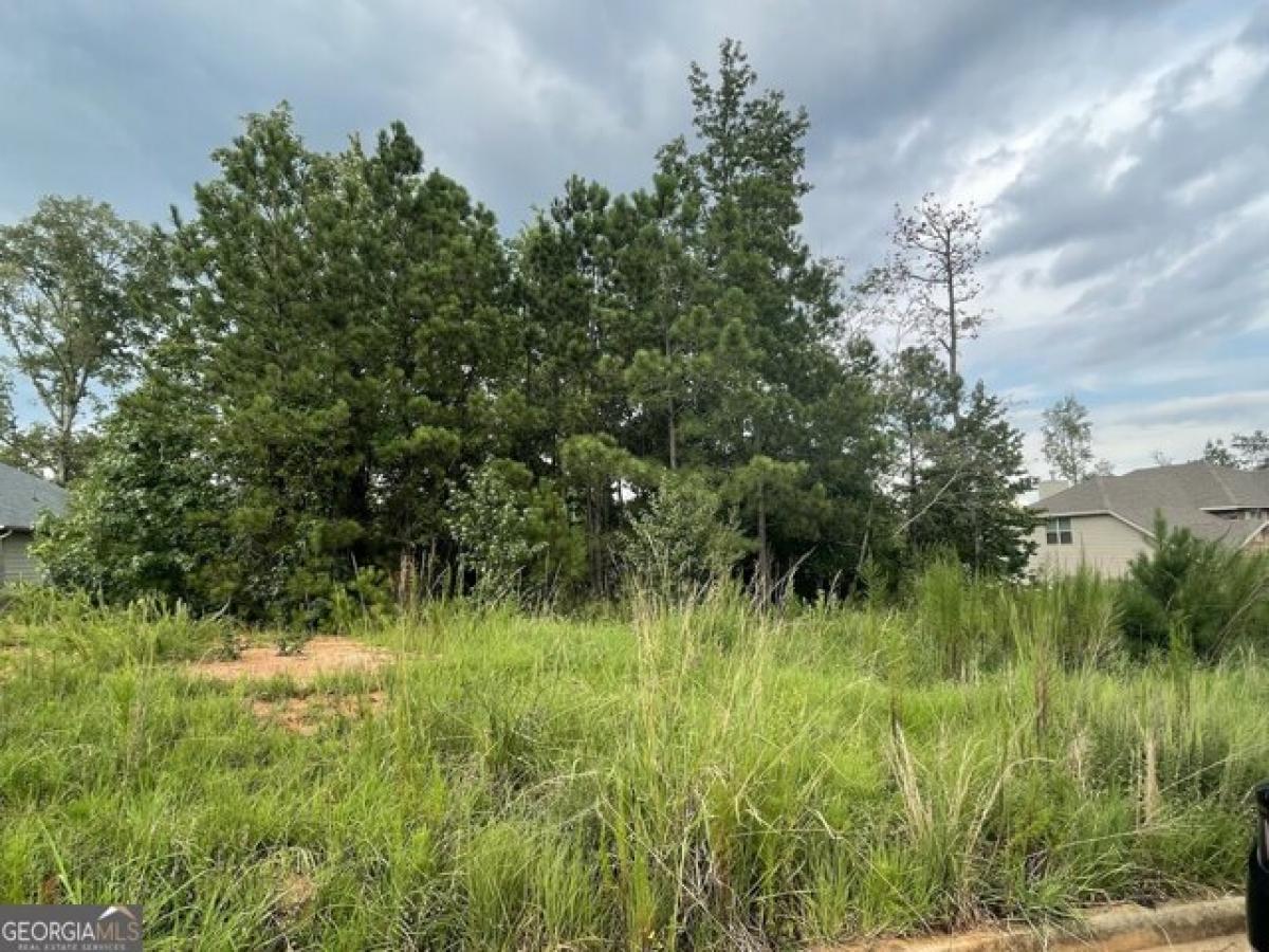 Picture of Residential Land For Sale in Griffin, Georgia, United States