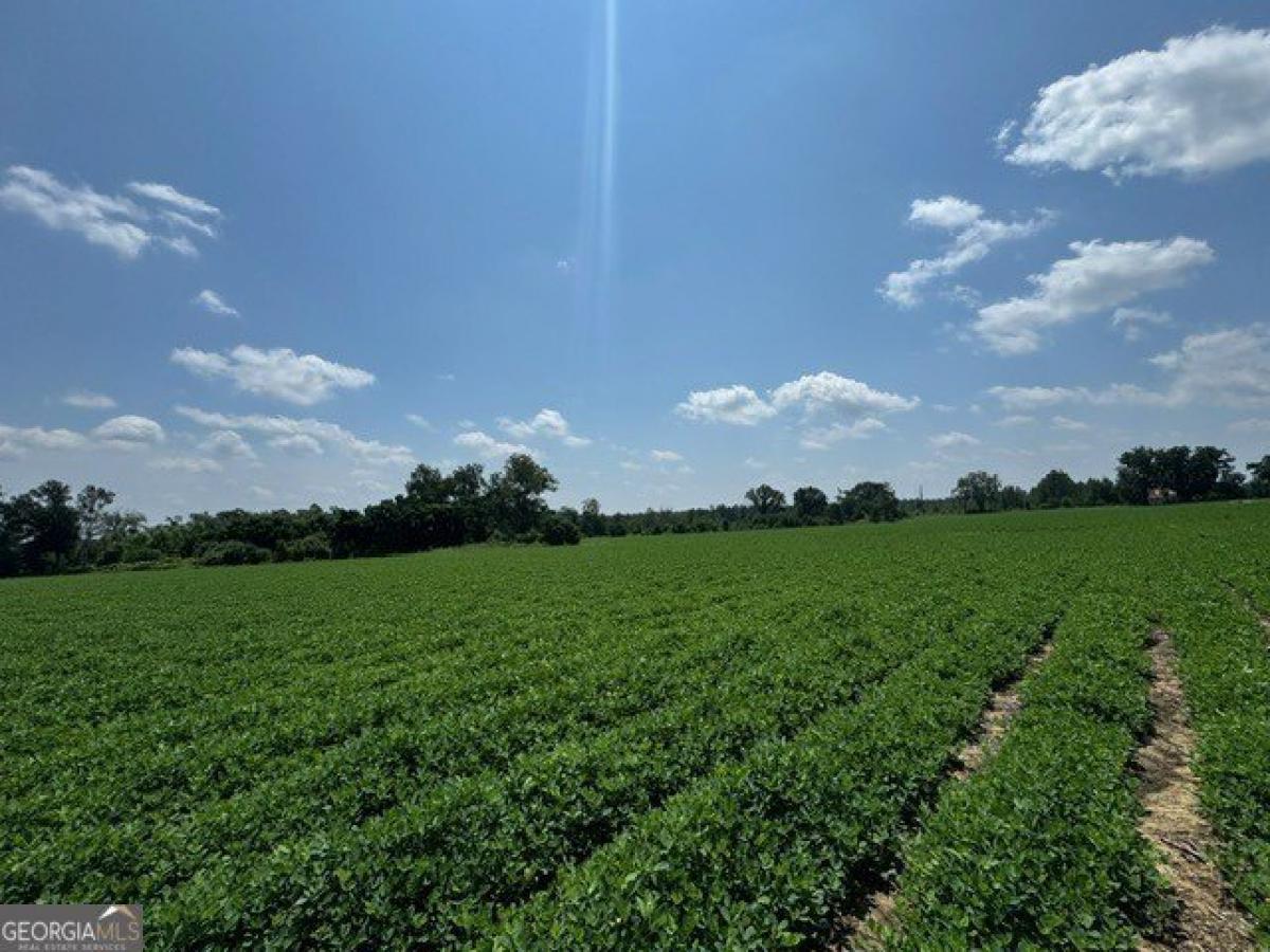 Picture of Residential Land For Sale in Lyons, Georgia, United States