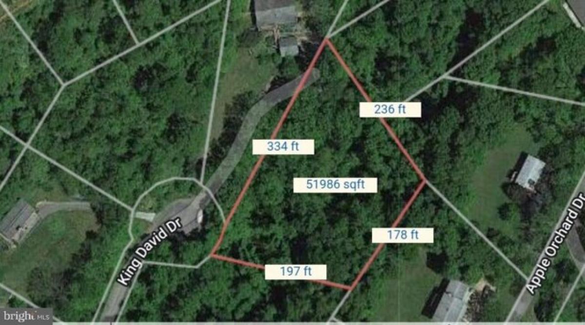 Picture of Residential Land For Sale in Linden, Virginia, United States