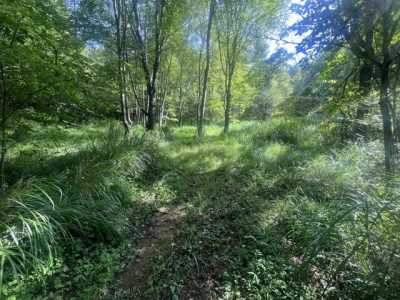 Residential Land For Sale in 