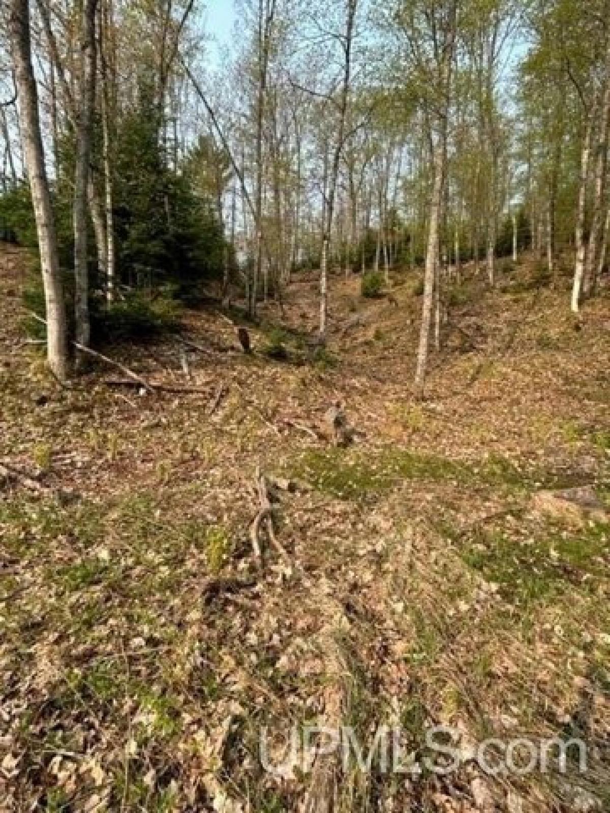 Picture of Residential Land For Sale in Negaunee, Michigan, United States