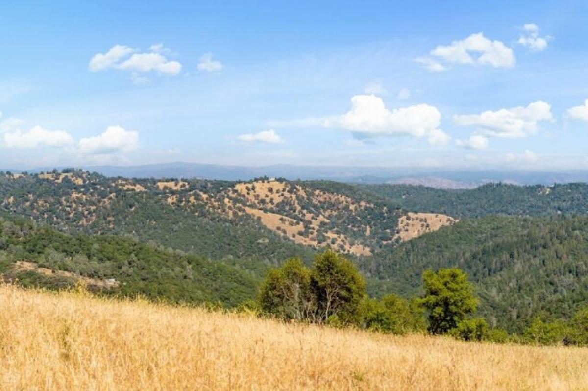 Picture of Residential Land For Sale in El Dorado, California, United States