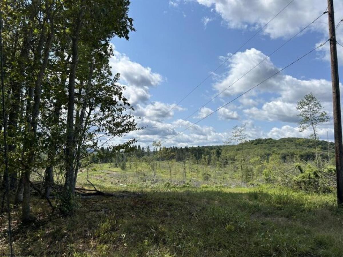 Picture of Residential Land For Sale in Bruceton Mills, West Virginia, United States