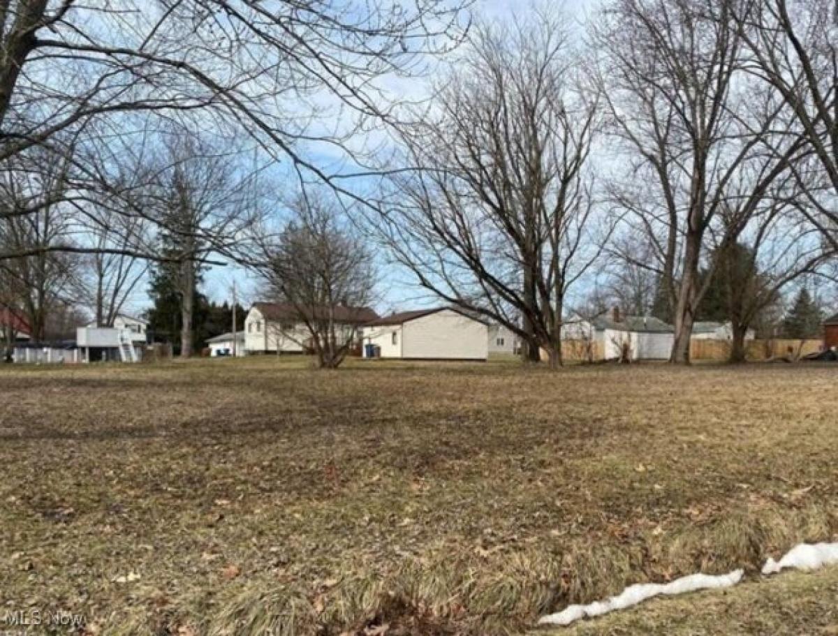 Picture of Residential Land For Sale in Niles, Ohio, United States