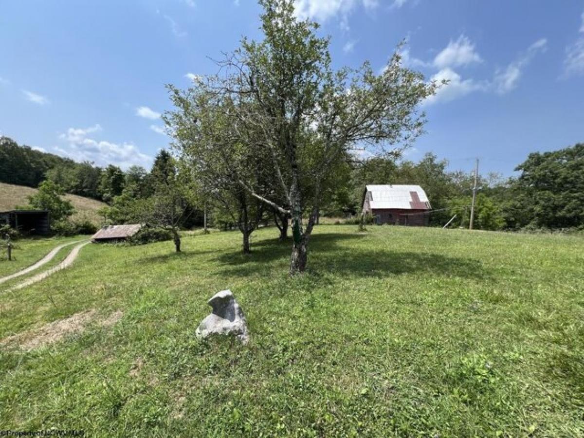 Picture of Home For Sale in Independence, West Virginia, United States