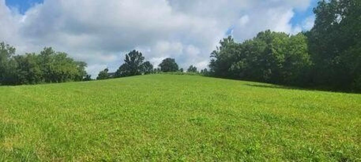 Picture of Residential Land For Sale in Mount Sterling, Kentucky, United States