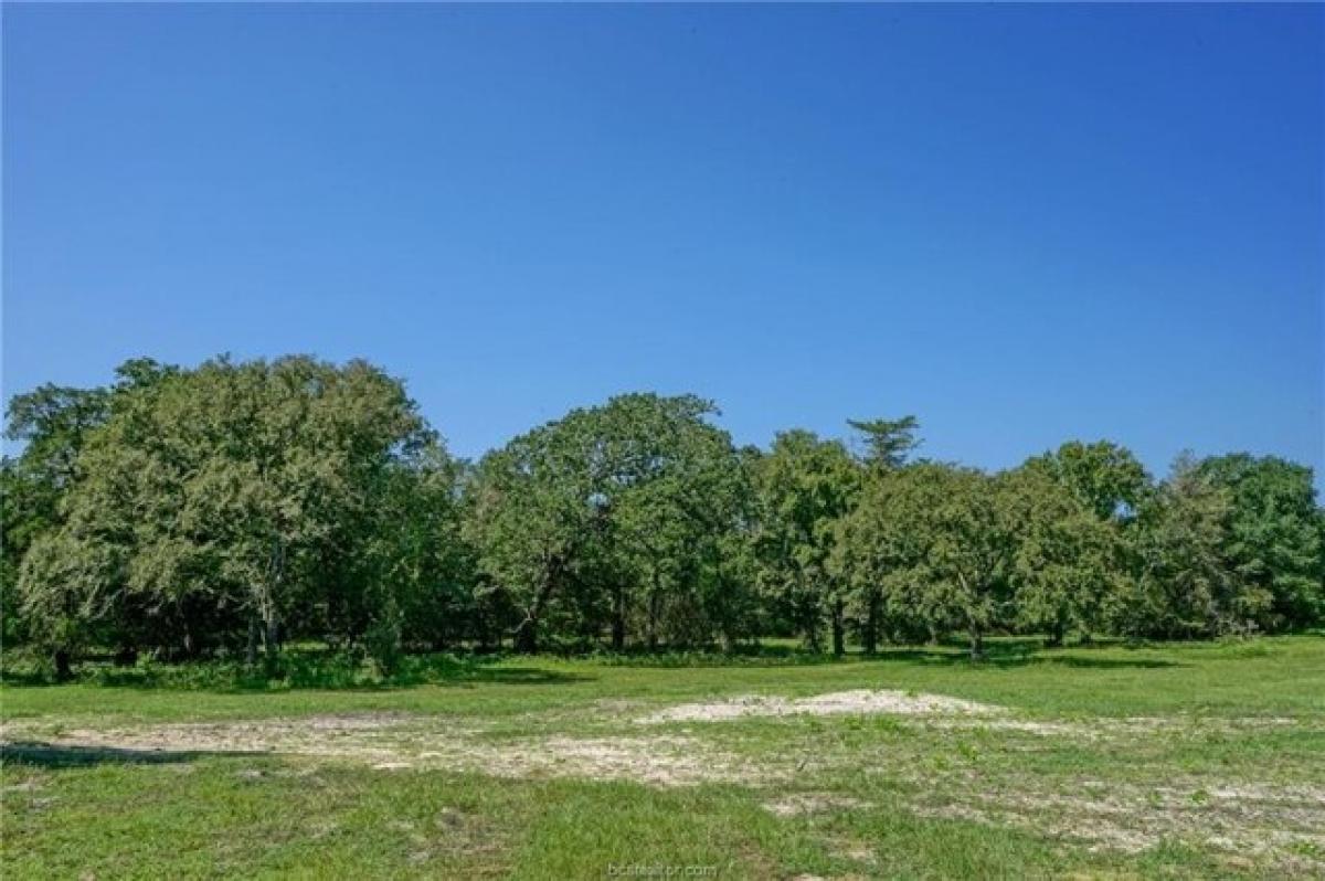 Picture of Residential Land For Sale in Navasota, Texas, United States