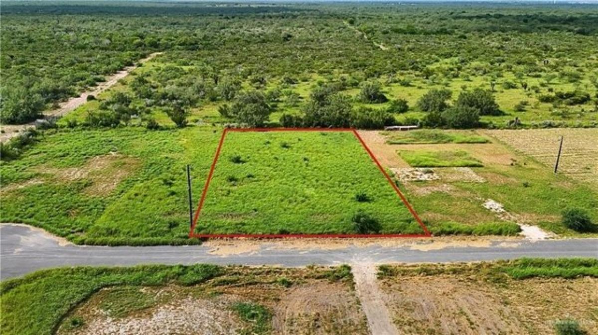 Picture of Residential Land For Sale in Rio Grande City, Texas, United States