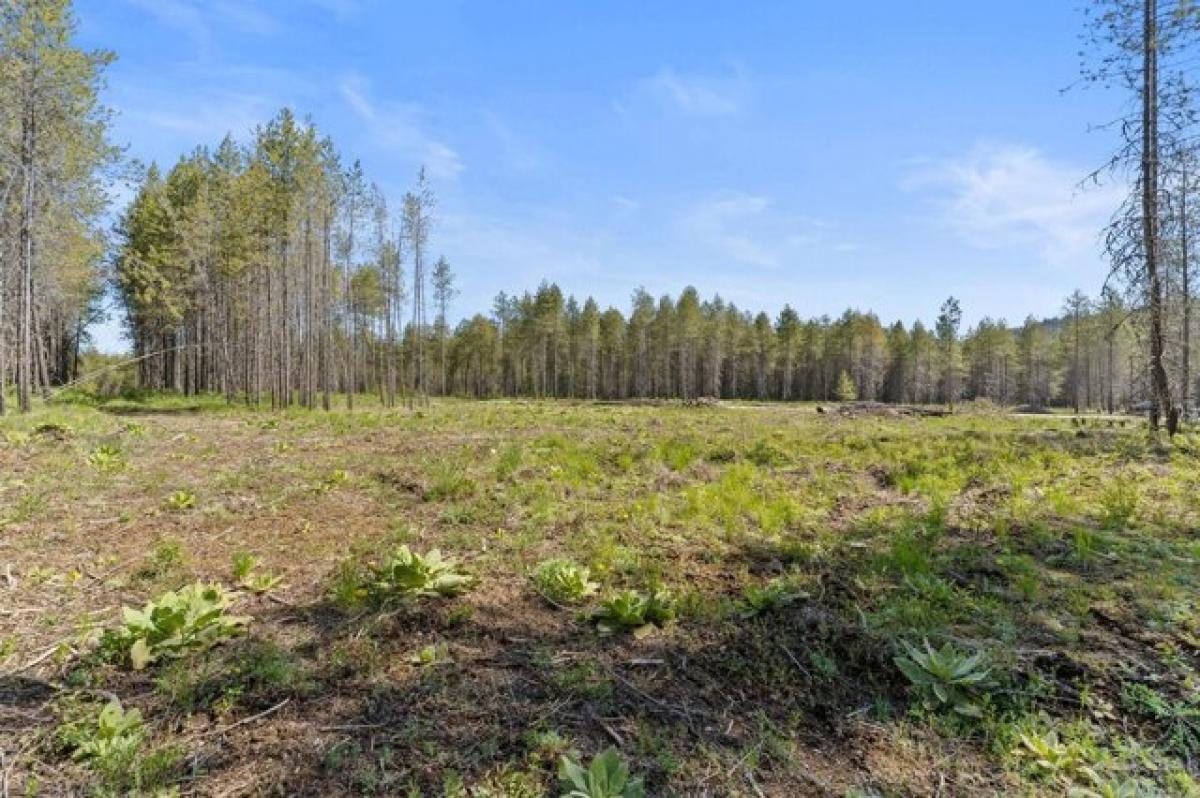 Picture of Home For Sale in Springdale, Washington, United States