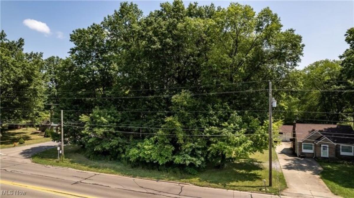 Picture of Residential Land For Sale in Youngstown, Ohio, United States