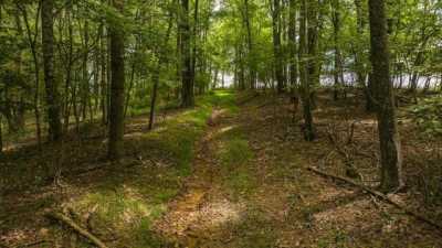 Residential Land For Sale in 