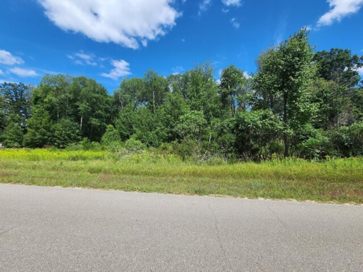 Picture of Residential Land For Rent in Stanwood, Michigan, United States