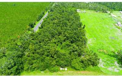 Residential Land For Sale in Mayo, Florida