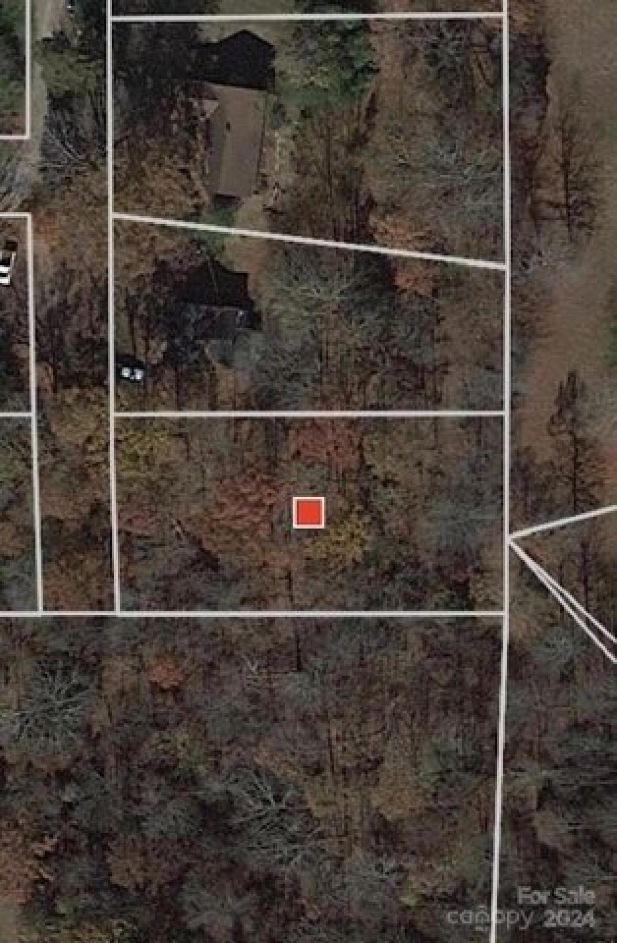 Picture of Residential Land For Sale in Valdese, North Carolina, United States