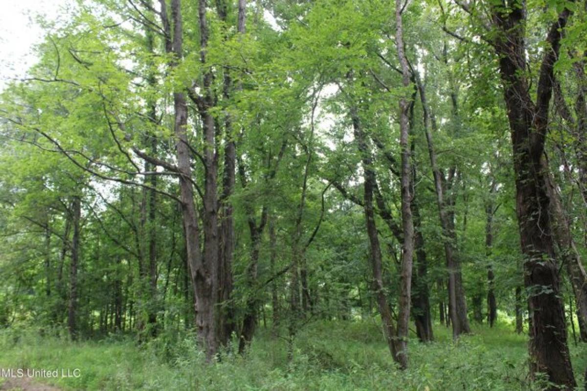 Picture of Residential Land For Sale in Como, Mississippi, United States