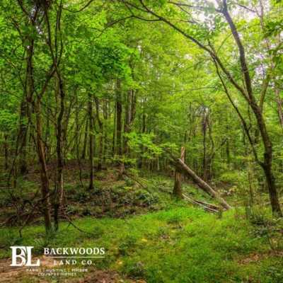 Residential Land For Sale in Enid, Mississippi