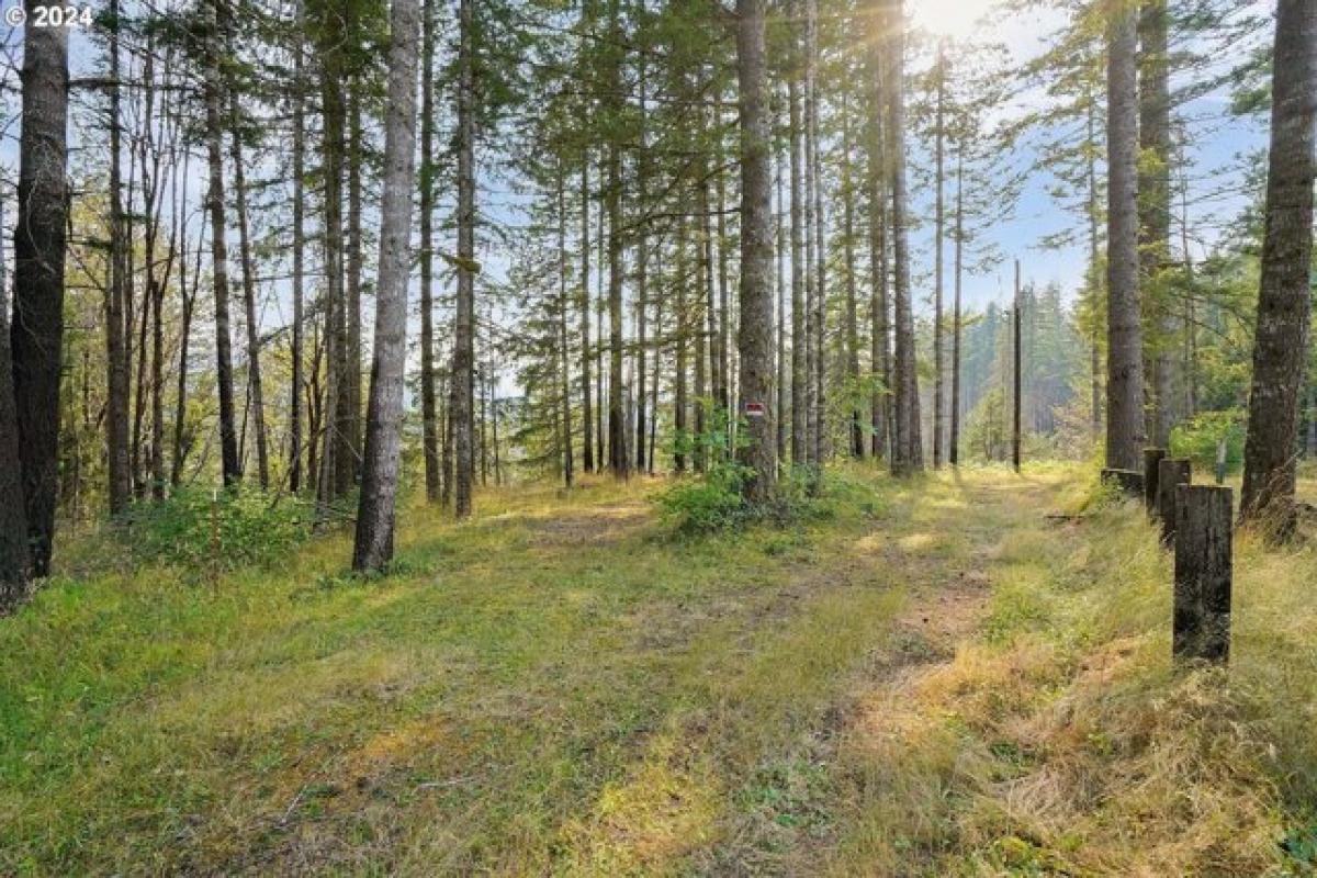 Picture of Home For Sale in Lyons, Oregon, United States