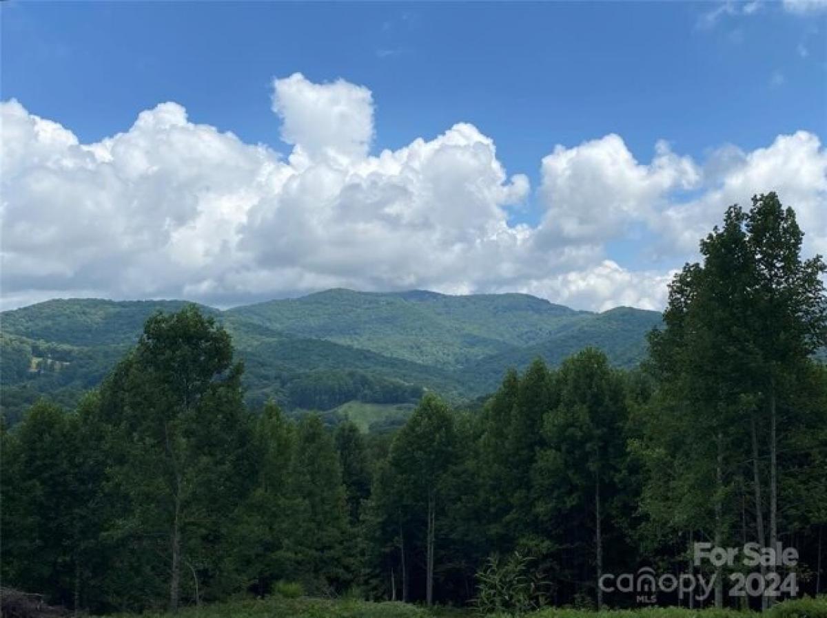 Picture of Residential Land For Sale in Mars Hill, North Carolina, United States