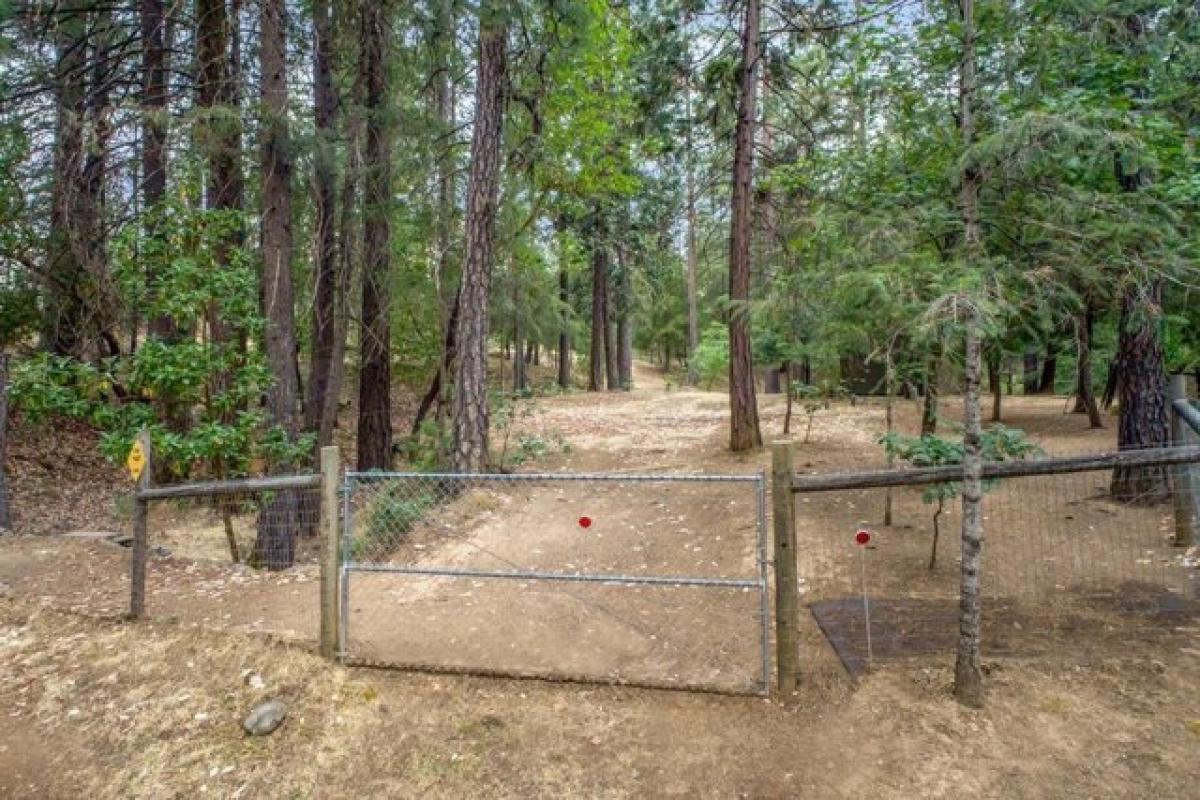 Picture of Residential Land For Sale in Nevada City, California, United States