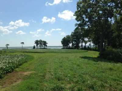 Residential Land For Sale in Atlantic, Virginia