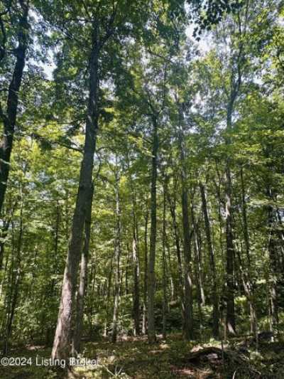 Residential Land For Sale in Shelbyville, Kentucky