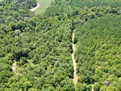 Residential Land For Sale in Glenwood, Alabama