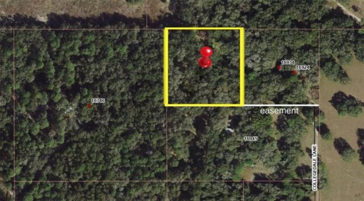 Picture of Residential Land For Sale in Spring Hill, Florida, United States