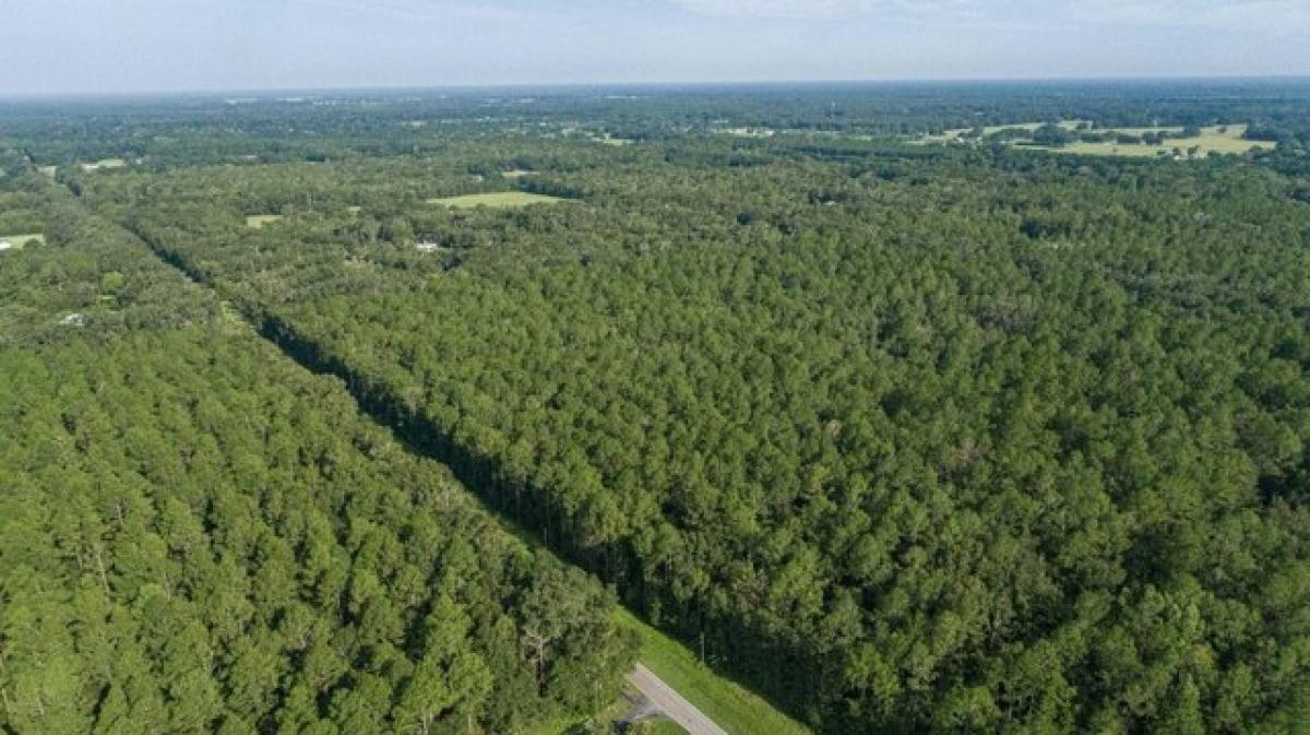 Picture of Residential Land For Sale in Alachua, Florida, United States