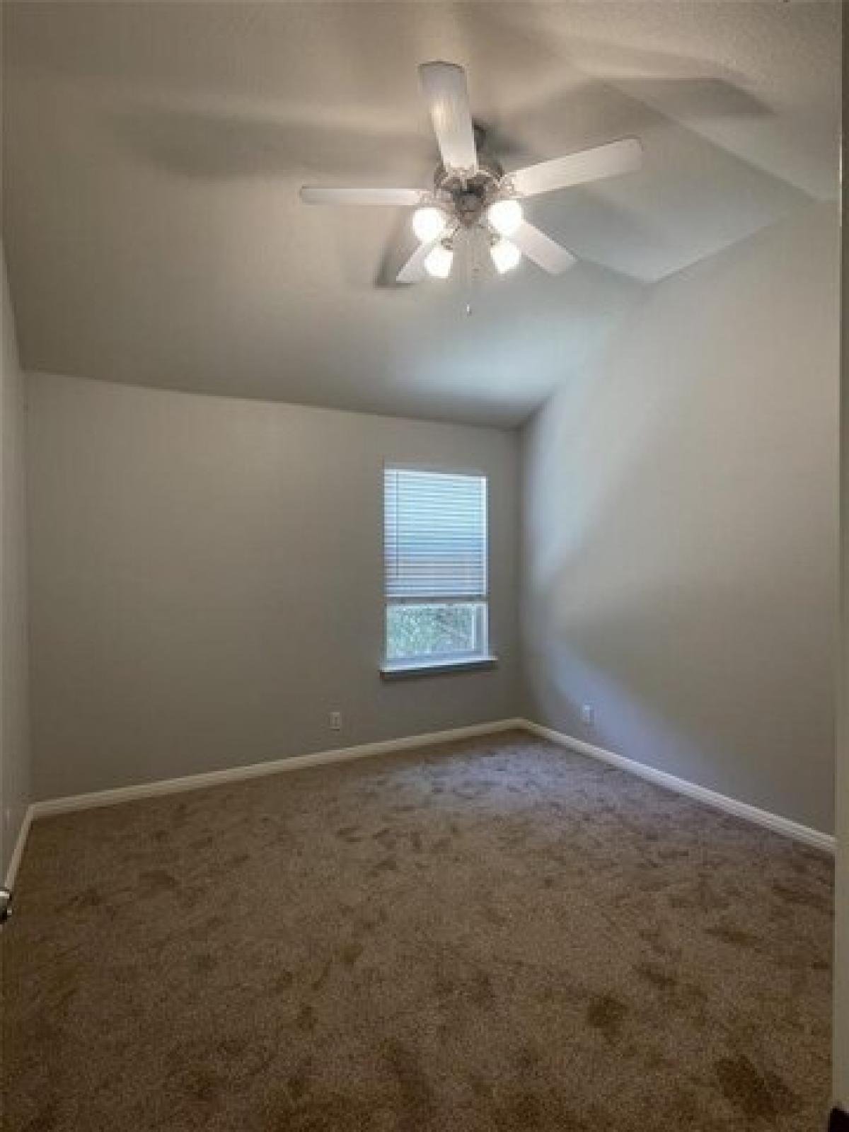 Picture of Home For Rent in San Marcos, Texas, United States