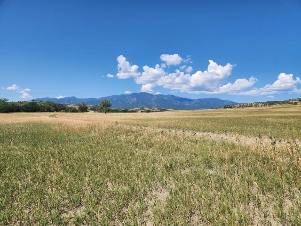 Picture of Residential Land For Rent in Colorado City, Colorado, United States