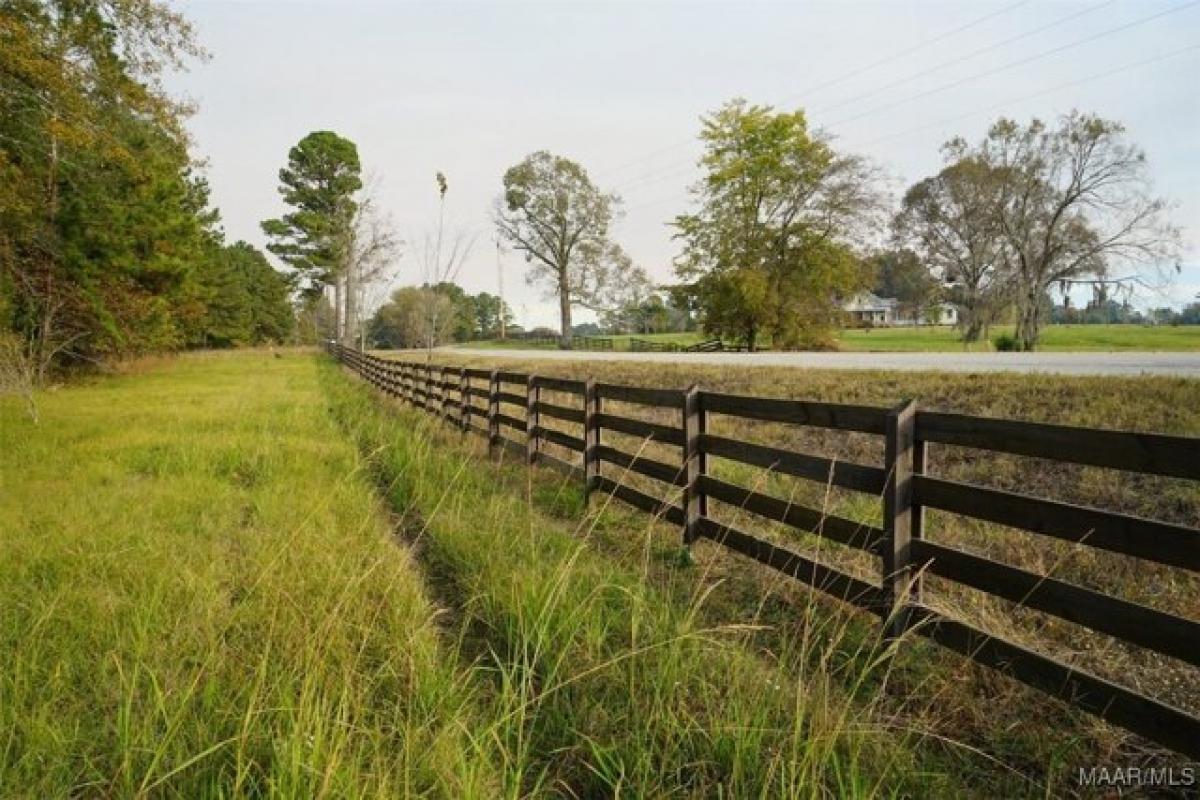 Picture of Residential Land For Sale in Mathews, Alabama, United States