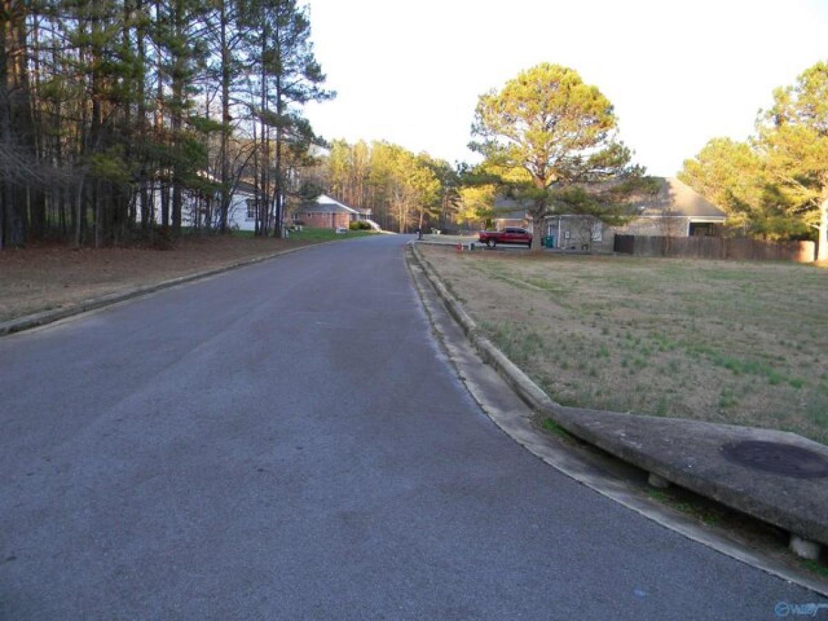 Picture of Residential Land For Sale in Leesburg, Alabama, United States