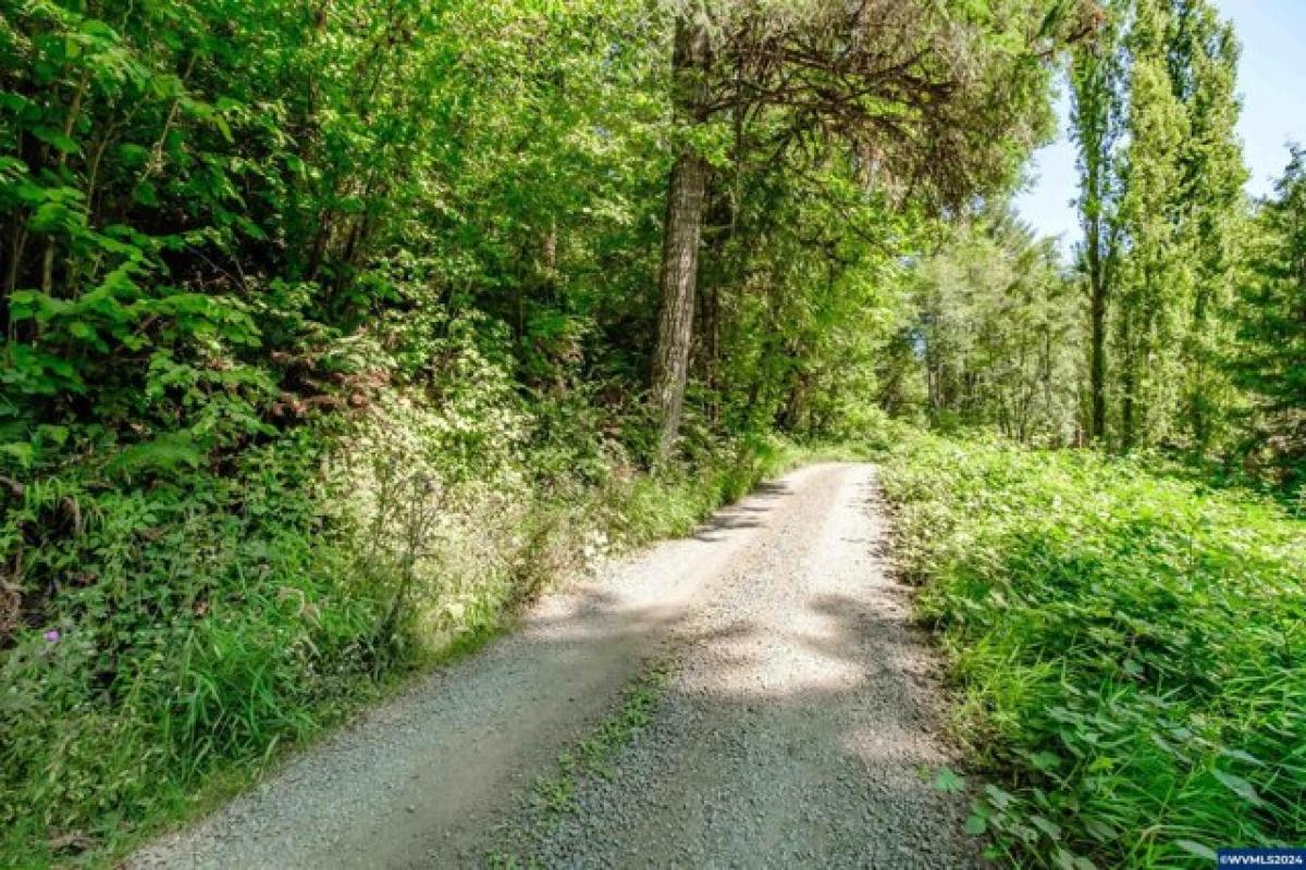 Picture of Residential Land For Sale in Alsea, Oregon, United States