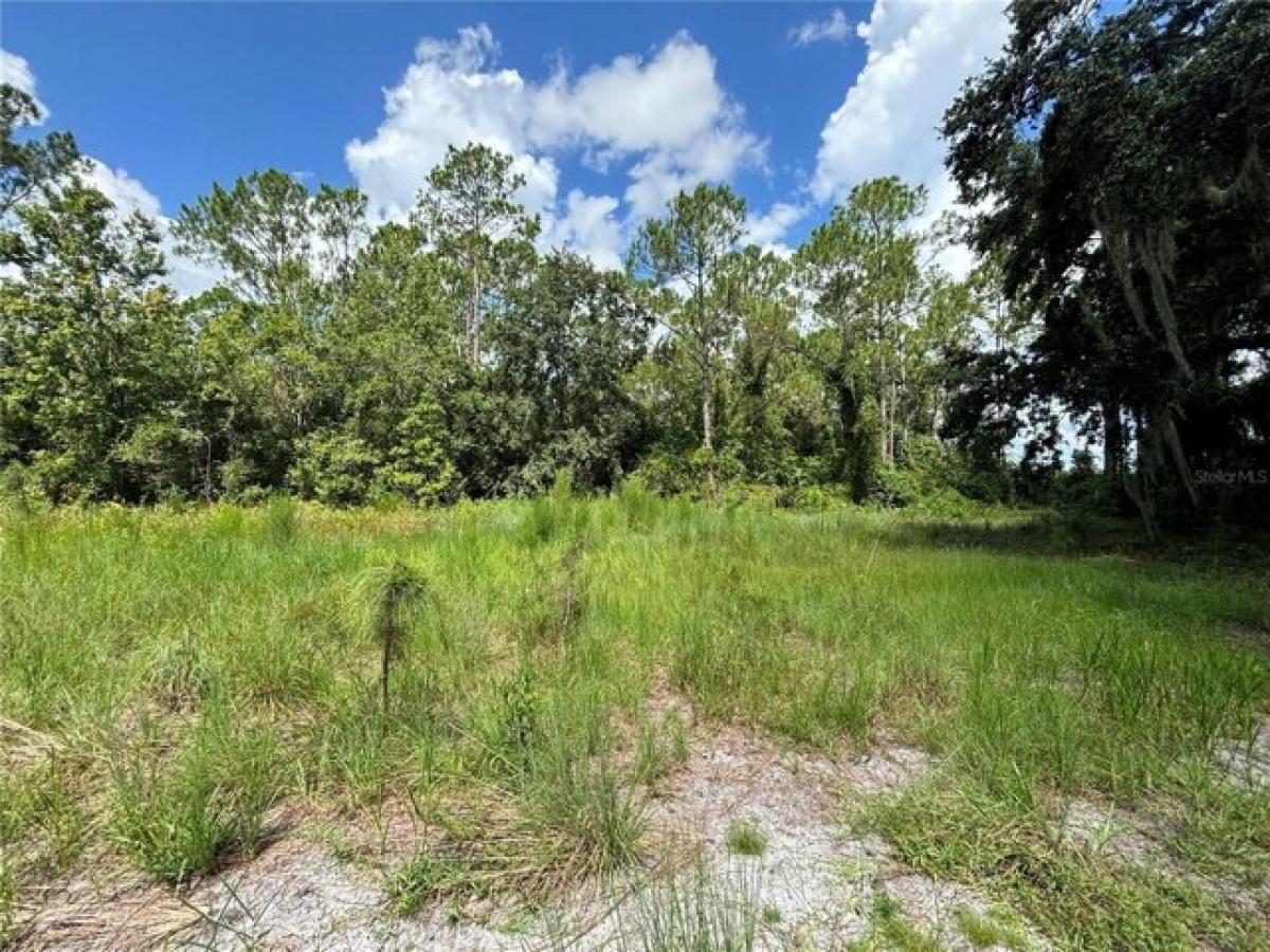 Picture of Residential Land For Sale in Groveland, Florida, United States