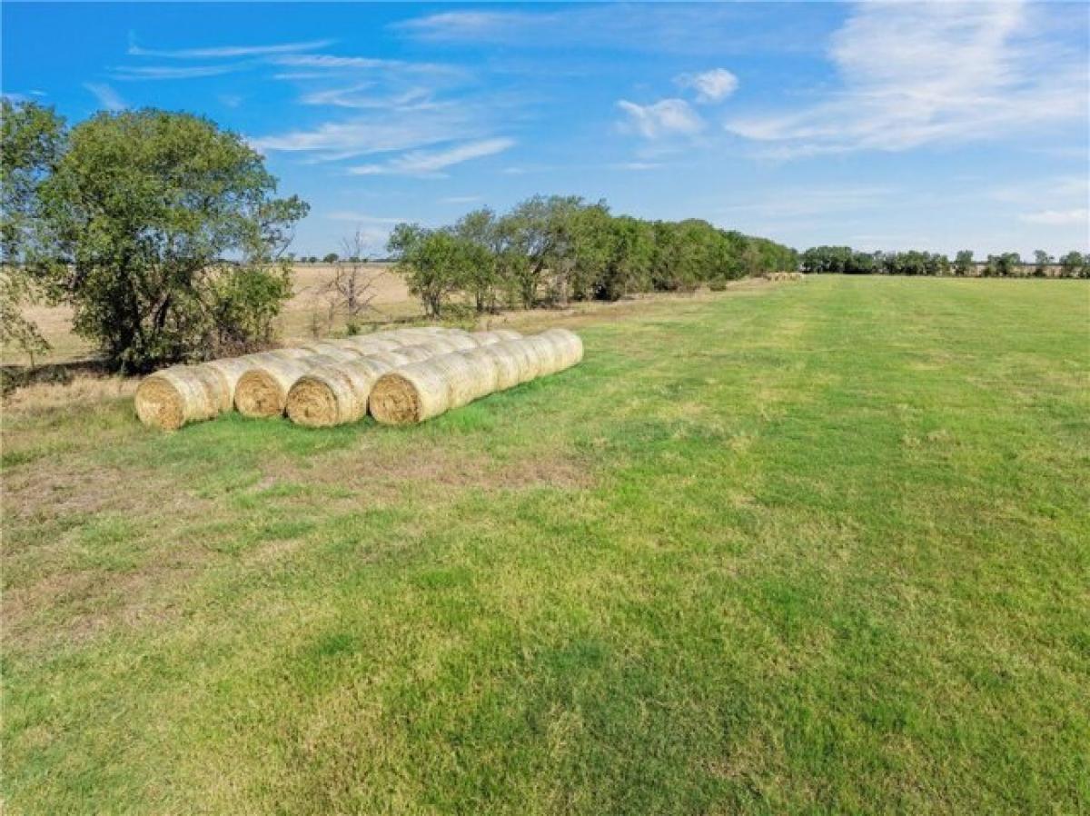 Picture of Residential Land For Sale in McGregor, Texas, United States