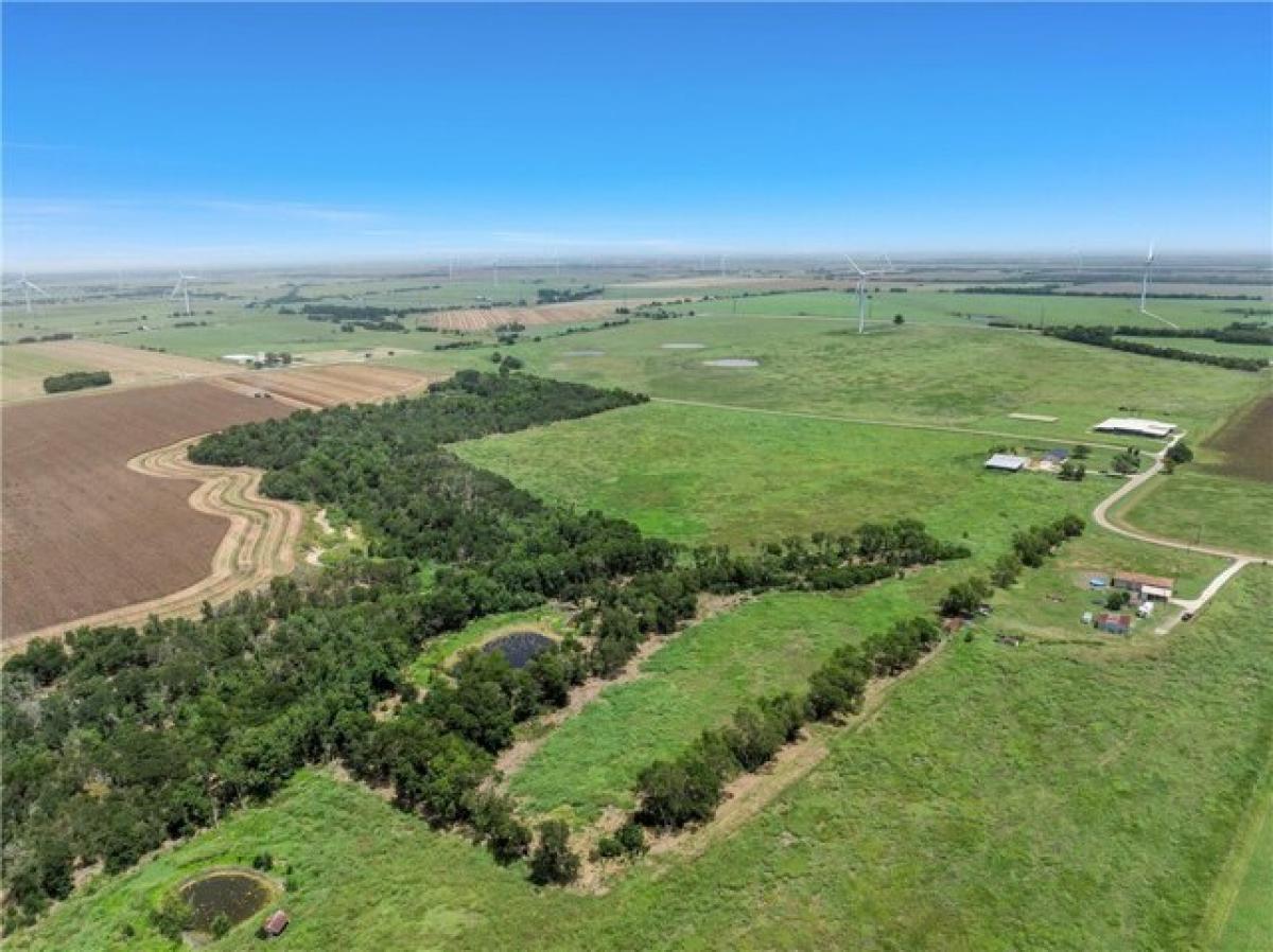 Picture of Residential Land For Sale in Mart, Texas, United States